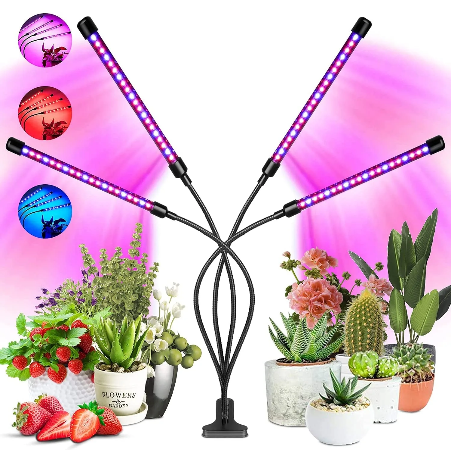 Desk LED Grow Light Plant Lights for Indoor Plants,Full Spectrum With Clip Plant Growing Lamp for Seed Start,Auto On Off Timing
Desk LED Grow Light Plant Lights for Indoor Plants,Full Spectrum With Clip Plant Growing Lamp for Seed Start,Auto On Off Timing