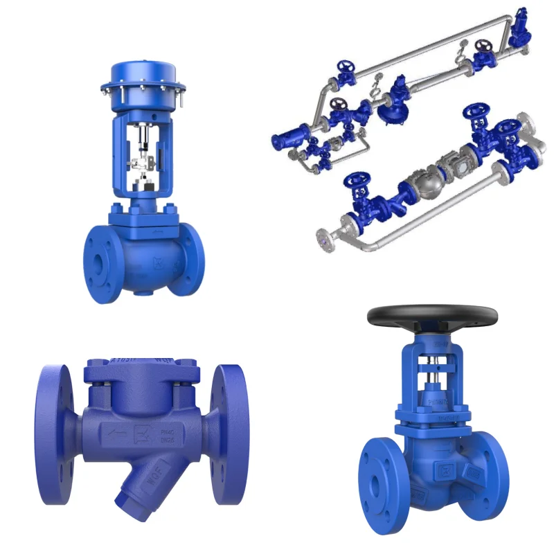 Steam Trap Station Heat Recovery Skid Customized Balanced Pressure Steam Trap Pressure Reducing Valve Control Valve
Steam Trap Station Heat Recovery Skid Customized Balanced Pressure Steam Trap Pressure Reducing Valve Control Valve