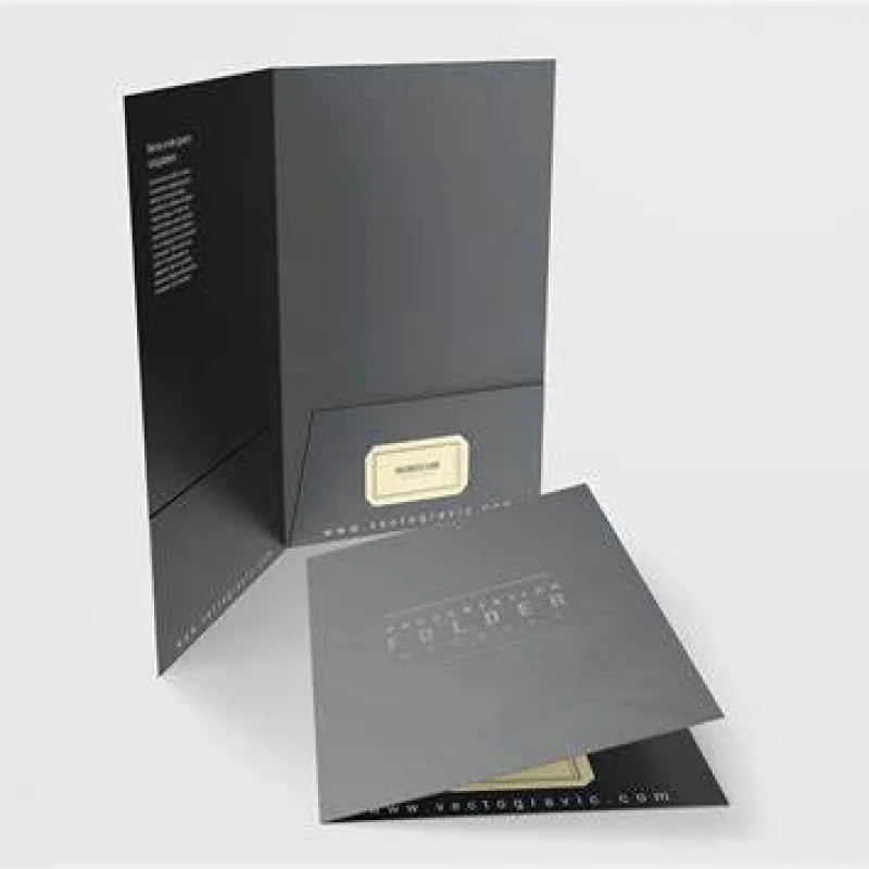 custom Custom gold foil uv logo A4 black texture decorative school file document folder presentation folder with pockets
custom Custom gold foil uv logo A4 black texture decorative school file document folder presentation folder with pockets