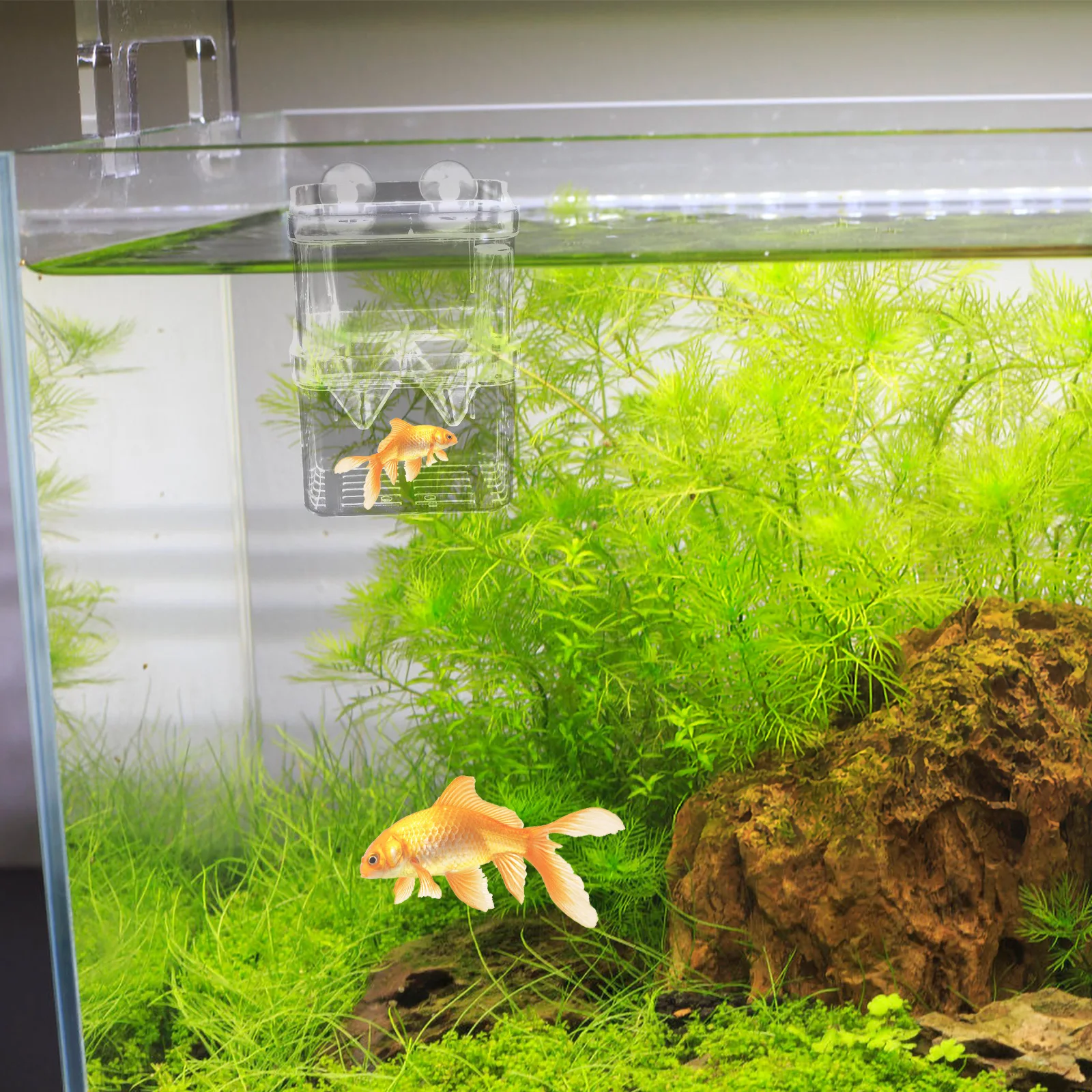 Fish fish breeding box fish breeding tank aquarium fish breeding Fish Breeding Isolation Box 
Fish fish breeding box fish breeding tank aquarium fish breeding Fish Breeding Isolation Box