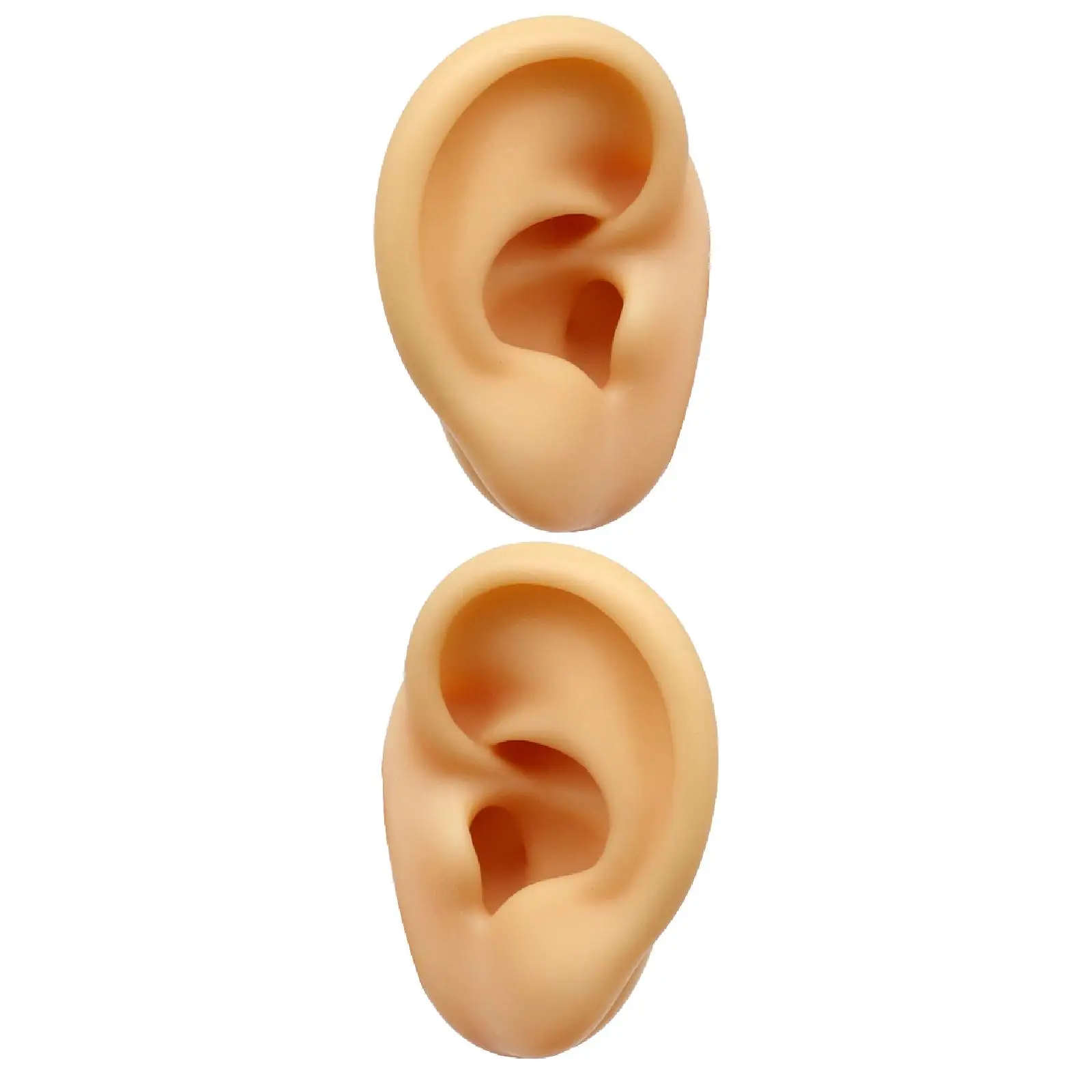 Silicone Ear Model Flexible Fake Ear Body Part Reusable Simulation for Earrings Display for for Women Photos Showcase Vendors
Silicone Ear Model Flexible Fake Ear Body Part Reusable Simulation for Earrings Display for for Women Photos Showcase Vendors