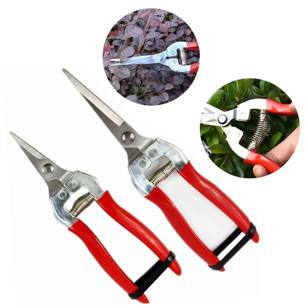 Anti-slip Pruner Garden Scissors Pruning Shears Micro-Tip Pruning Snips Leaf Trimmer Straight Scissor For Plant Pruning Tool
Anti-slip Pruner Garden Scissors Pruning Shears Micro-Tip Pruning Snips Leaf Trimmer Straight Scissor For Plant Pruning Tool