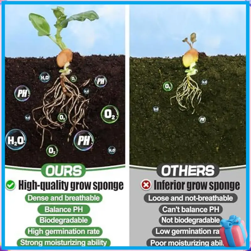 Hydroponic Pod Grow Sponge Germination Kit For Grow Anything With Plant Food, Grow Sponges, Plant Baskets, Fine Workmanship
Hydroponic Pod Grow Sponge Germination Kit For Grow Anything With Plant Food, Grow Sponges, Plant Baskets, Fine Workmanship