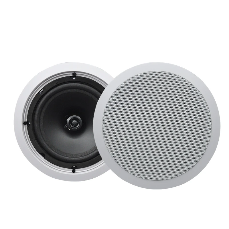 8 inch 2*40W Sound System Speaker active Bluetooth Active Full Range Ceiling Speaker for sale
8 inch 2*40W Sound System Speaker active Bluetooth Active Full Range Ceiling Speaker for sale