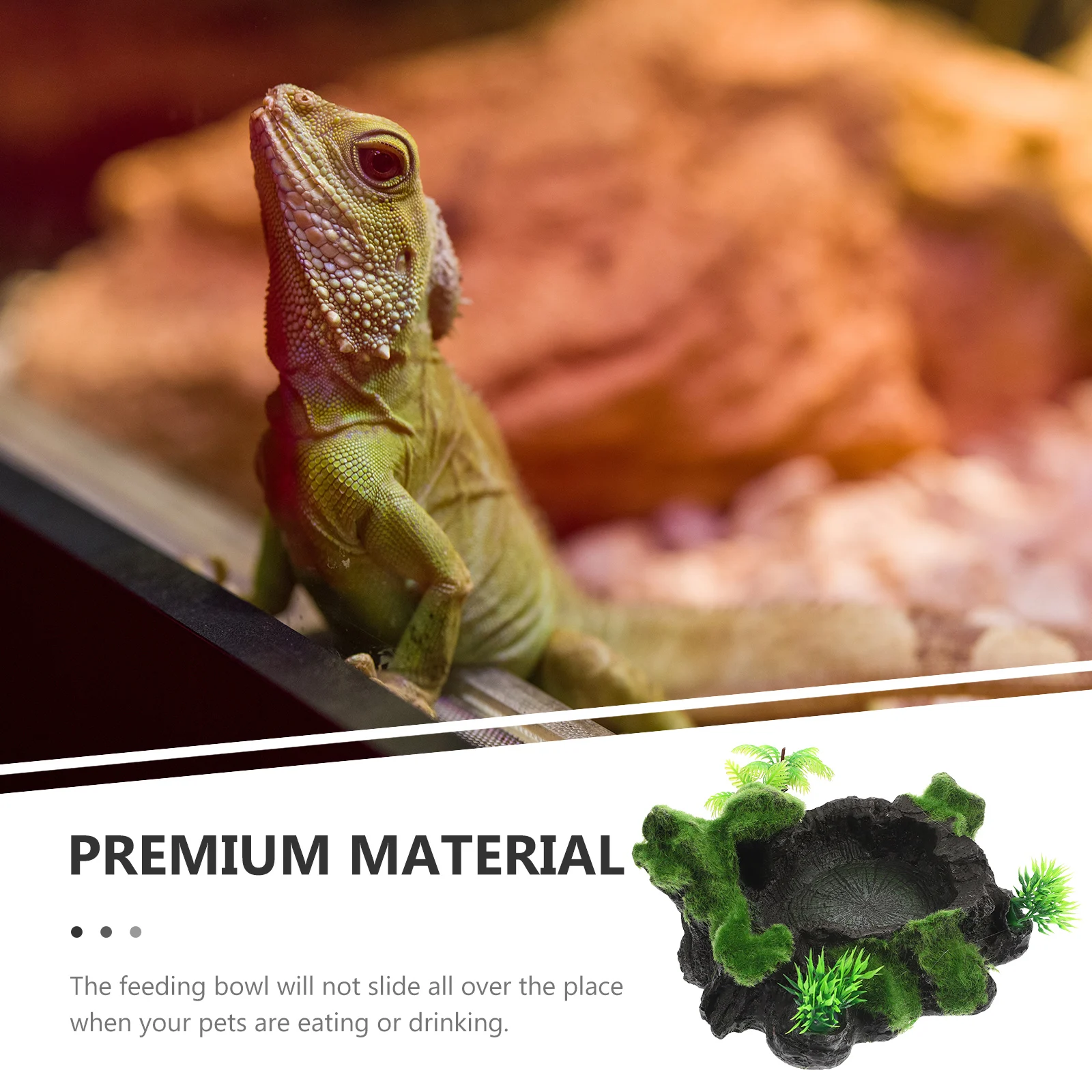 Natural Reptile Water Dish Premium Resin Feeding Bowl Decorative Terrarium Reptile Accessory
Natural Reptile Water Dish Premium Resin Feeding Bowl Decorative Terrarium Reptile Accessory