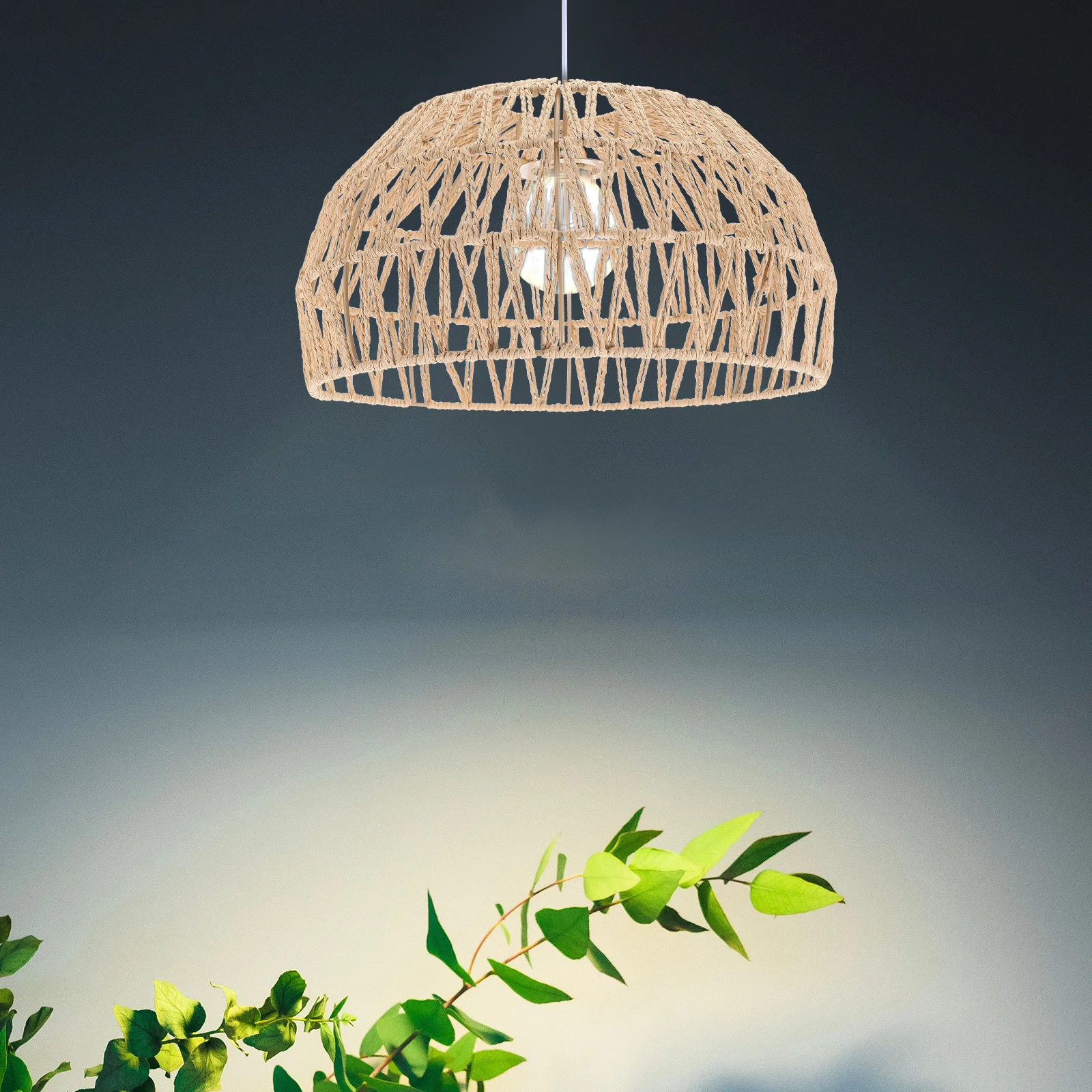 Small Vintage Woven Lampshade Lamp Cover for Home Lighting Ceiling Floor Wall Lamp Decor Small Lampshade Indoor Light Cover
Small Vintage Woven Lampshade Lamp Cover for Home Lighting Ceiling Floor Wall Lamp Decor Small Lampshade Indoor Light Cover