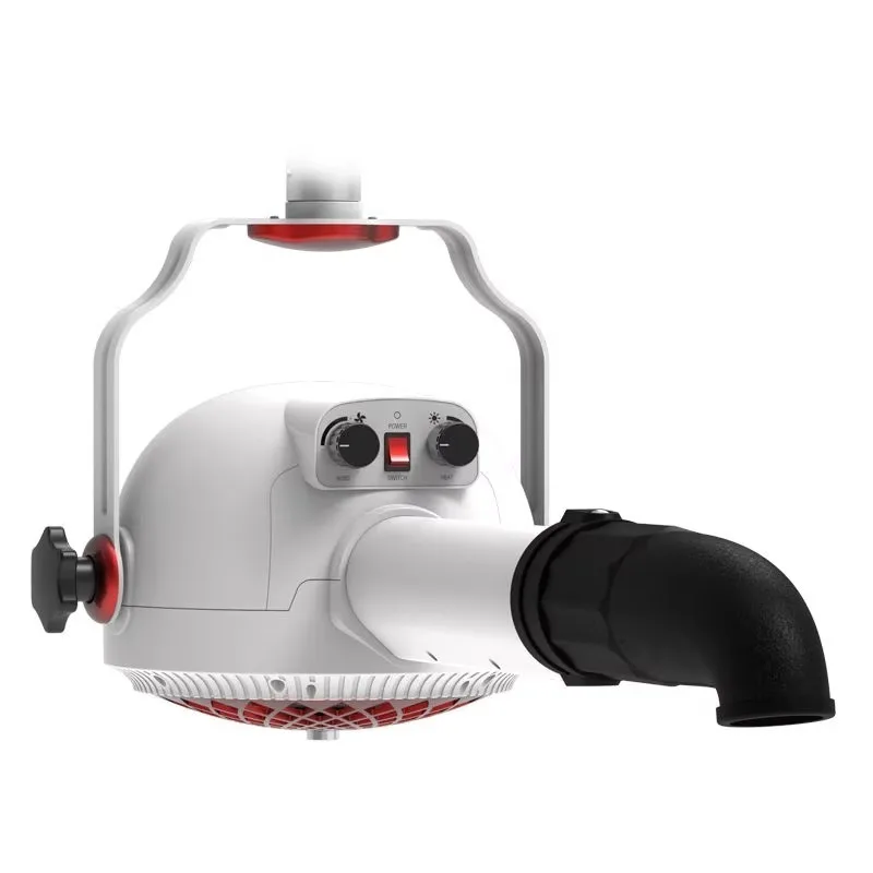 Pet Hair Dryers Anionic Wall Mounted Stepless Speed Pet Dryer Blower for Professional Dog Grooming Salon
Pet Hair Dryers Anionic Wall Mounted Stepless Speed Pet Dryer Blower for Professional Dog Grooming Salon