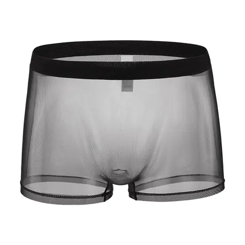 1pc Men See Through Underwear Ultra-thin Seductive Mesh Sexy Breathable Transparent Boxer Shorts Trunks Gay Solid Underpants