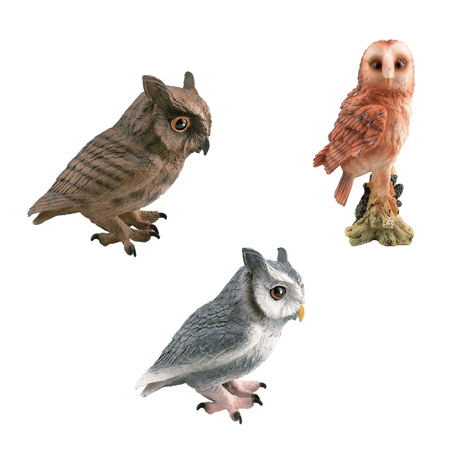 Simulation Owl Model Owl Statue Sculptures for Home Decor Yard Decors Birthday Gift Desktop Decoration Teaching Materials
Simulation Owl Model Owl Statue Sculptures for Home Decor Yard Decors Birthday Gift Desktop Decoration Teaching Materials