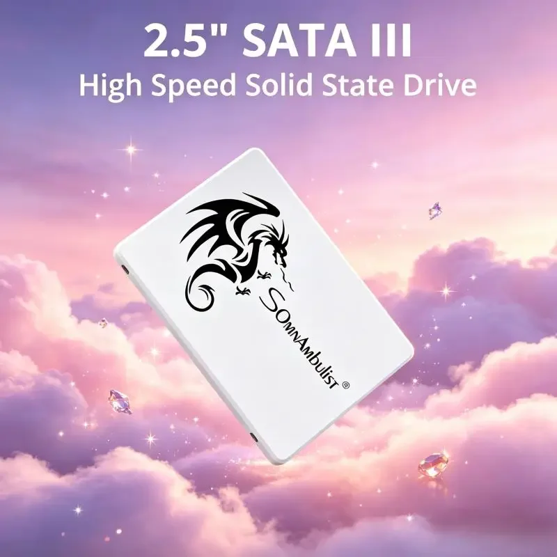 SomnAmbulist Exquisite 2.5" SATA3 SSD, Abundant Memory Options, Swift Responsive Solid State Drive for Home Office PC
SomnAmbulist Exquisite 2.5" SATA3 SSD, Abundant Memory Options, Swift Responsive Solid State Drive for Home Office PC