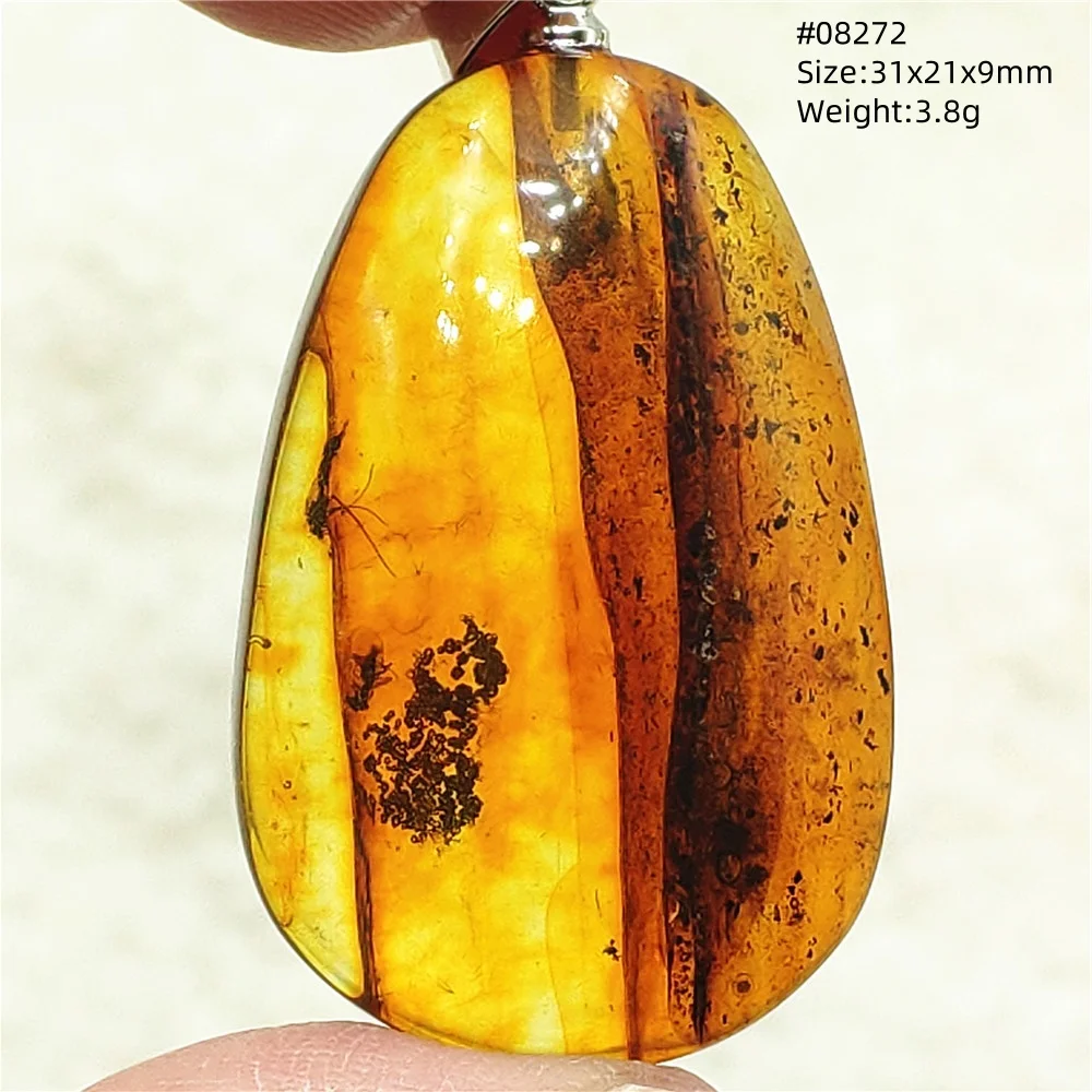 Natural Insect Amber Water Drop Pendant Flower Yellow Amber Insect Necklace Baltic Women Men Jewelry Stone AAAAAAA
Natural Insect Amber Water Drop Pendant Flower Yellow Amber Insect Necklace Baltic Women Men Jewelry Stone AAAAAAA