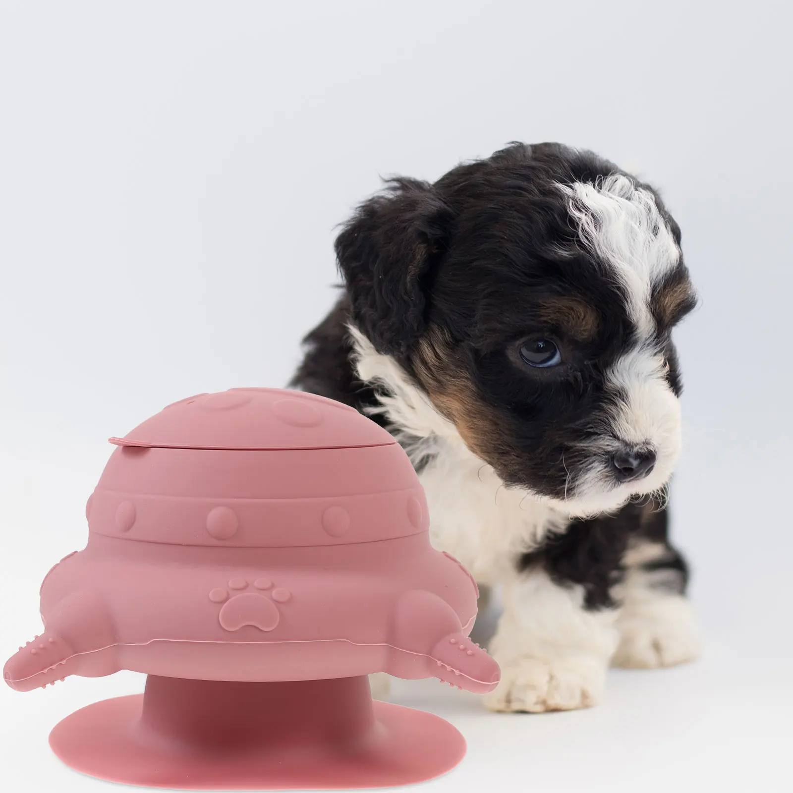 4pcs Puppy Milk Feeder Silicone Bowl 4 Pacifiers Pink for Newborn Puppies Cats Rabbits Small Pets Nursing Bottles
4pcs Puppy Milk Feeder Silicone Bowl 4 Pacifiers Pink for Newborn Puppies Cats Rabbits Small Pets Nursing Bottles