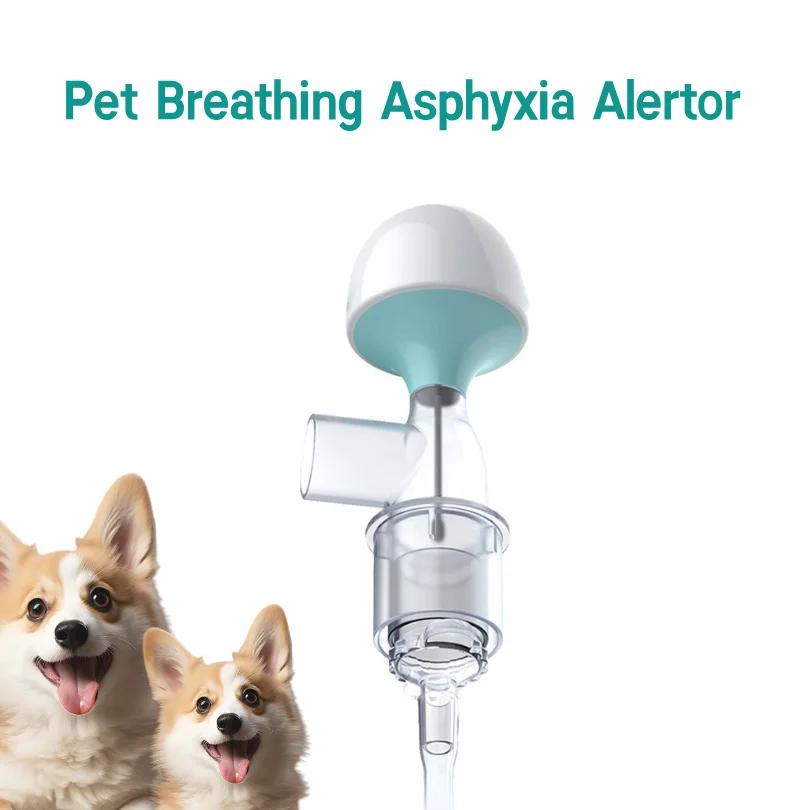 Pet Breathing Asphyxia Alertor For Cat Dog Veterinary Respiratory Choking Alarm , pet clinic equipment
Pet Breathing Asphyxia Alertor For Cat Dog Veterinary Respiratory Choking Alarm , pet clinic equipment