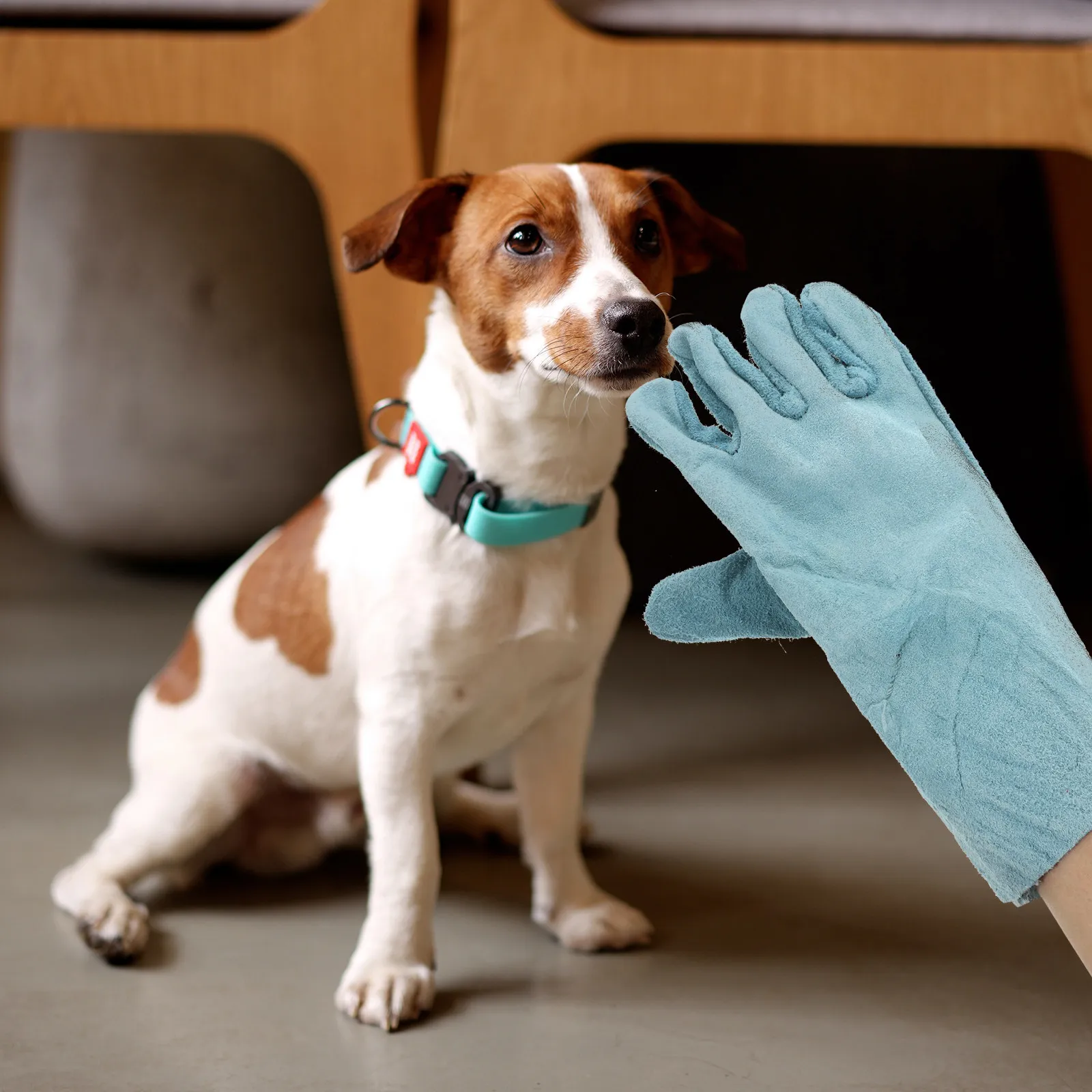 1 Pair Pet Anti-Bite Gloves Premium Cowhide Protective Gloves for Dog Training Bite Proof Scratch Resistant Hand Protection
1 Pair Pet Anti-Bite Gloves Premium Cowhide Protective Gloves for Dog Training Bite Proof Scratch Resistant Hand Protection