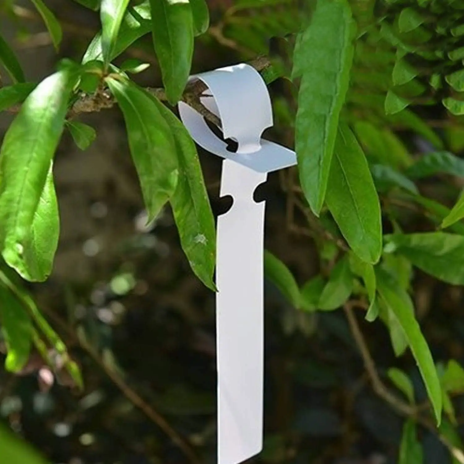 A53Q-1000Pcs 8 Inch Wrap Around Plant Tags, Outdoor Waterproof Hanging Gardening Labels, 2X21cm White Plastic Plant Tree Tags Nu
A53Q-1000Pcs 8 Inch Wrap Around Plant Tags, Outdoor Waterproof Hanging Gardening Labels, 2X21cm White Plastic Plant Tree Tags Nu
