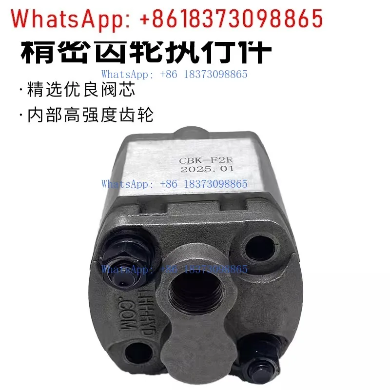 Шестеренный насос CBK-F2.1 F2.6 F3.2 F3.7 F4.2 F5.8 F6 F8 Автомобильный гидравлический подъемник
Шестеренный насос CBK-F2.1 F2.6 F3.2 F3.7 F4.2 F5.8 F6 F8 Автомобильный гидравлический подъемник
