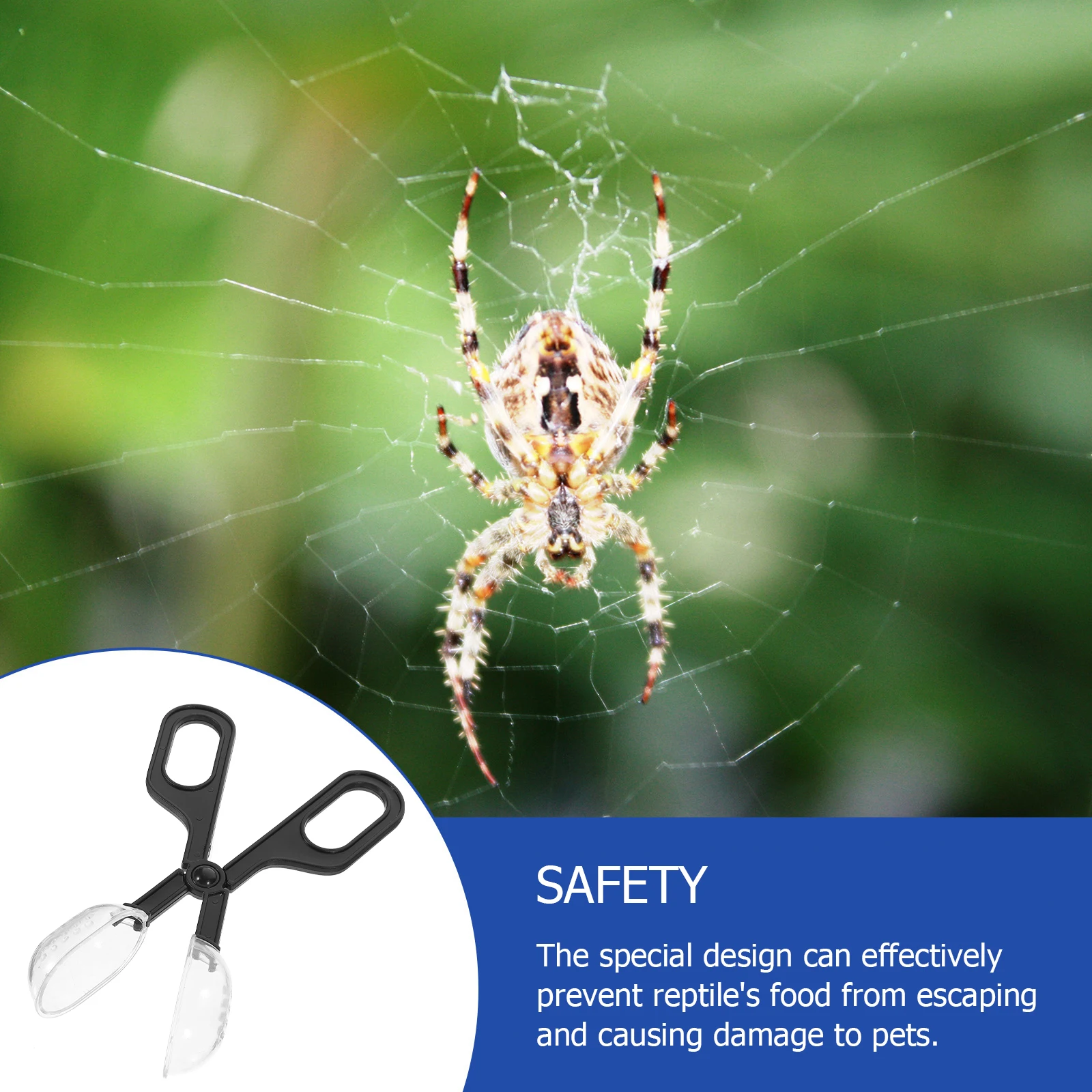 Reptile Terrarium Clip Insect Handling Tool Eco Friendly Reptile Supplies Feeding Clamps Cricket Scooper Pet Keeper
Reptile Terrarium Clip Insect Handling Tool Eco Friendly Reptile Supplies Feeding Clamps Cricket Scooper Pet Keeper