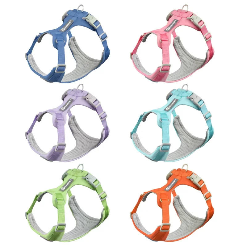 New High Quality And Convenient Macaroon No Wrap Chest Strap Puppy Dog Collar Leash Multiple Colors Available Cloth Pet Supplies
New High Quality And Convenient Macaroon No Wrap Chest Strap Puppy Dog Collar Leash Multiple Colors Available Cloth Pet Supplies