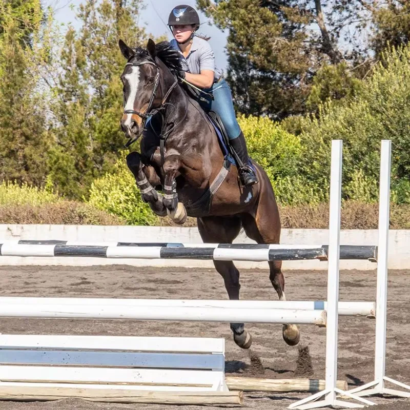 Equestrian Performance Show Jumping Horse Jumping High Quality PVC Horse Jump for Outdoor Riding Arenas
Equestrian Performance Show Jumping Horse Jumping High Quality PVC Horse Jump for Outdoor Riding Arenas