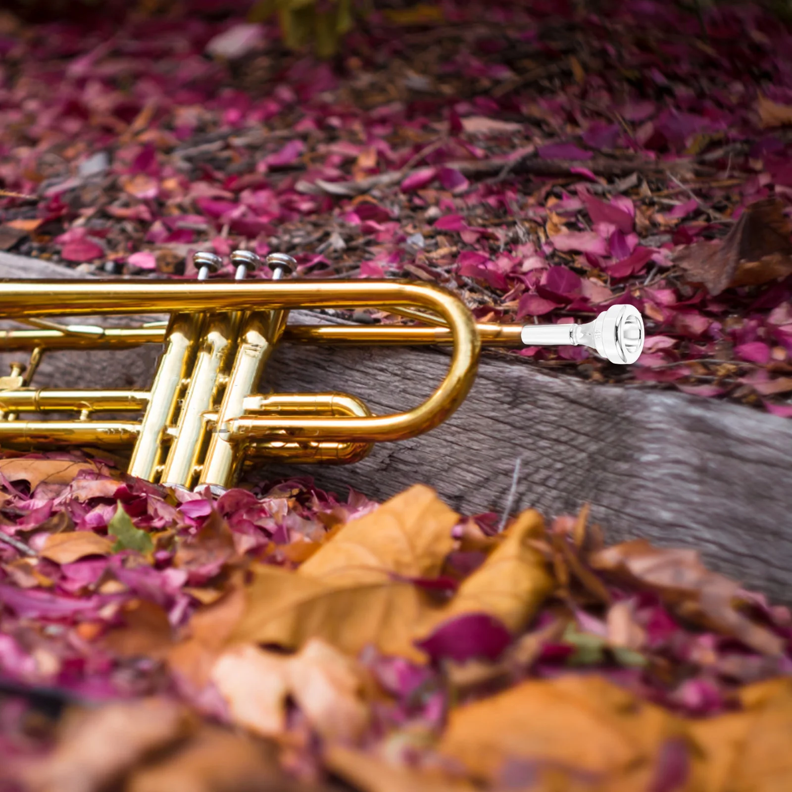 Short Horn Mouthpiece Brass Cornet Beginner Practice Metal Instrument Replacement Part Labor-Saving Student Playing
Short Horn Mouthpiece Brass Cornet Beginner Practice Metal Instrument Replacement Part Labor-Saving Student Playing