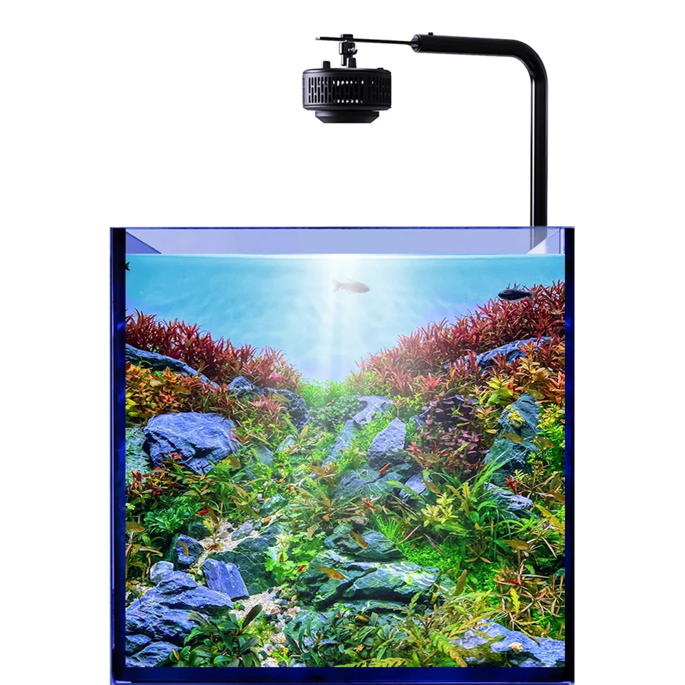 AIPAI A7P 100W High Performance Freshwater Tank Nature Light Full Spectrum LED Aquarium Light APP Control Enhancing Algae Bloom
AIPAI A7P 100W High Performance Freshwater Tank Nature Light Full Spectrum LED Aquarium Light APP Control Enhancing Algae Bloom