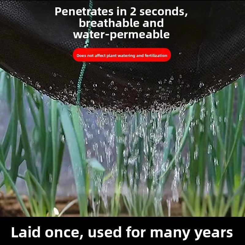 Специальная травяная пленка для фруктовых садов. Прочная ткань для прополки.
Специальная травяная пленка для фруктовых садов. Прочная ткань для прополки.