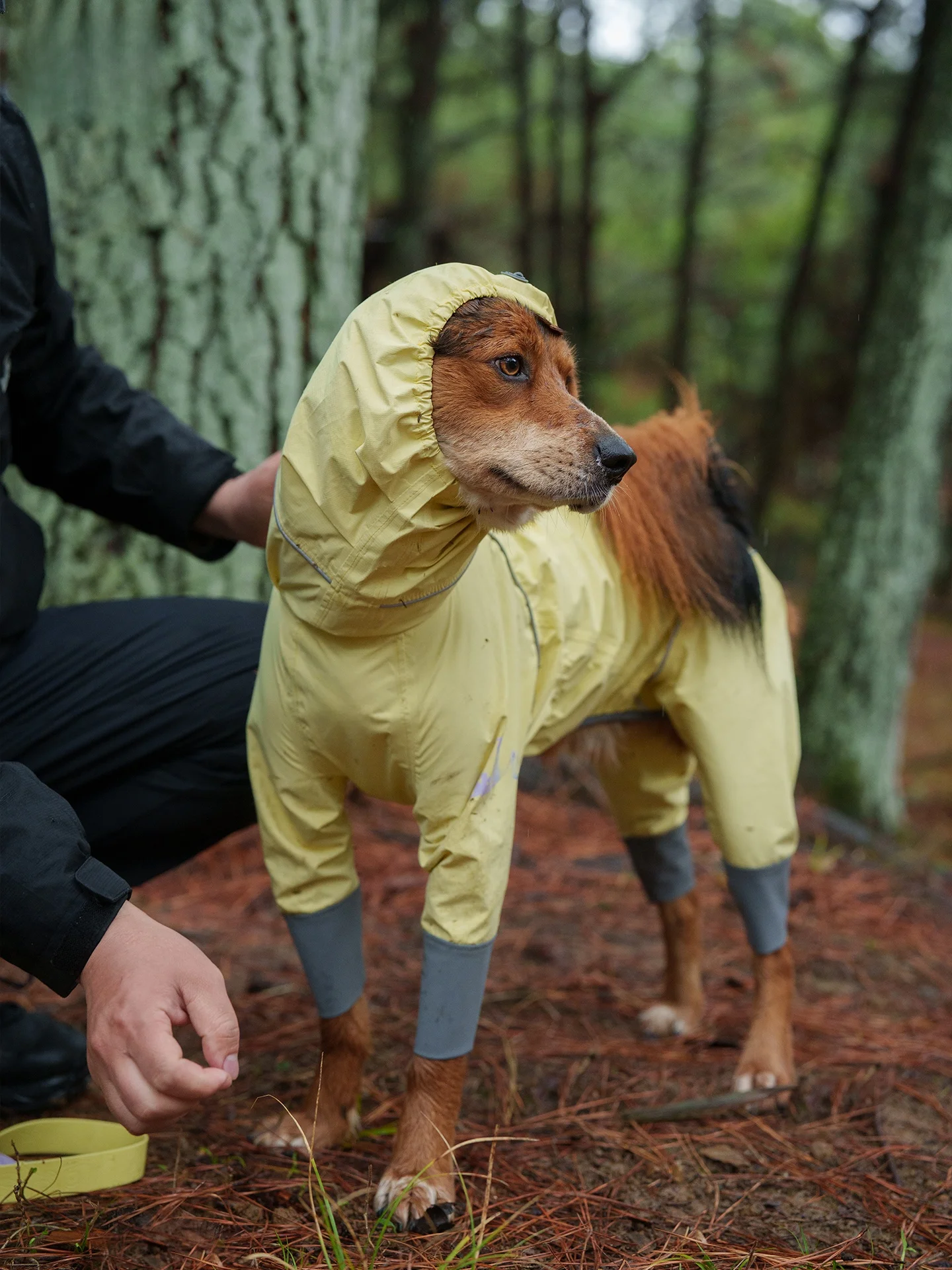 BlackDoggy Outdoor Lightweight Waterproof Four-Legged Dog Raincoat Pet Clothes Windproof Breathable 26 Styles Doggy Jacket
BlackDoggy Outdoor Lightweight Waterproof Four-Legged Dog Raincoat Pet Clothes Windproof Breathable 26 Styles Doggy Jacket