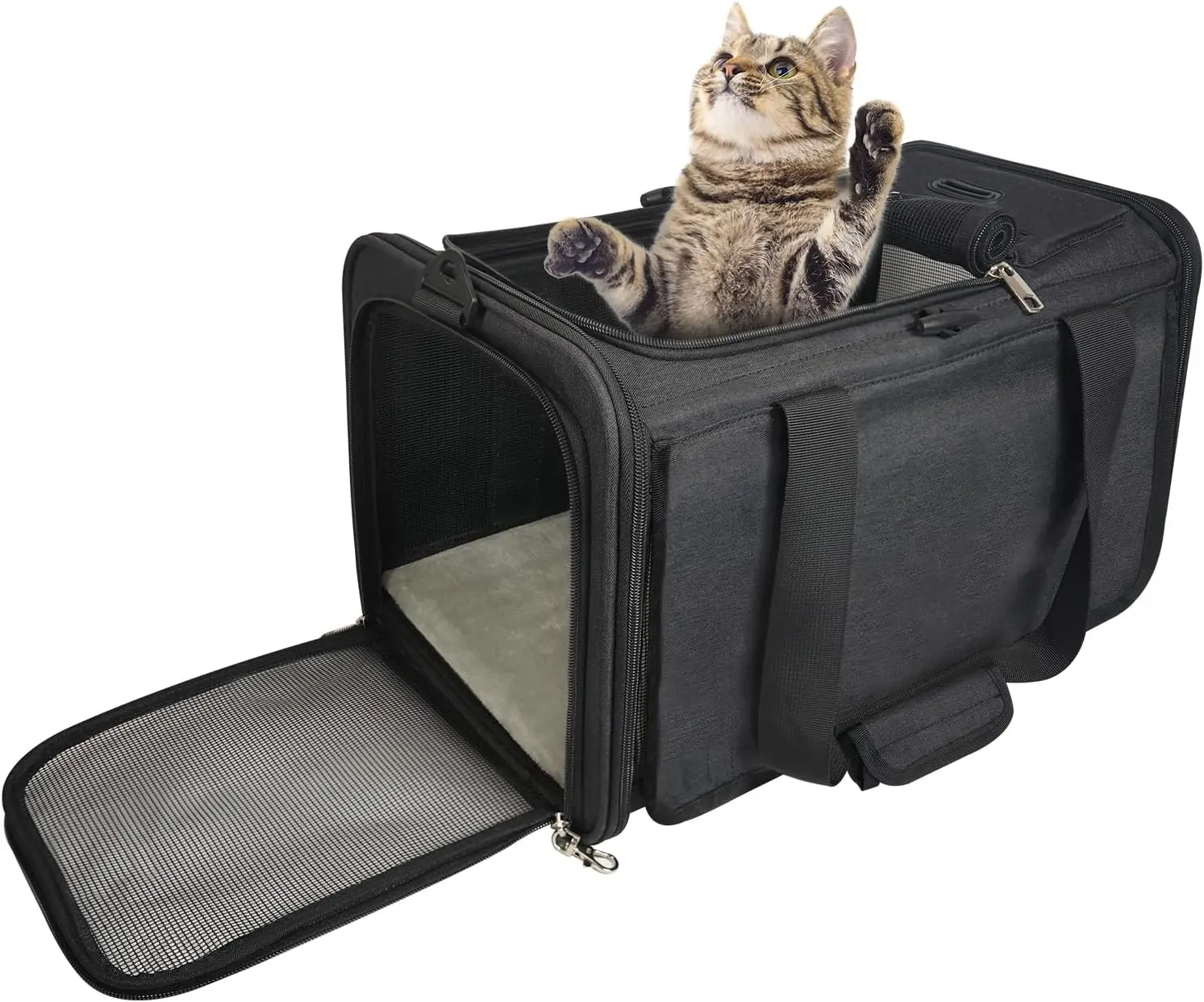 TSA Approved Soft-Sided Pet Carrier for Medium Cats and Small Dogs Under 15 lbs, Airline Compliant Underseat Travel Bag
TSA Approved Soft-Sided Pet Carrier for Medium Cats and Small Dogs Under 15 lbs, Airline Compliant Underseat Travel Bag