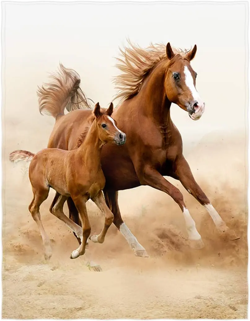 Two Beautiful Horse Pattern Super Soft Throw Blanket for Bed Sofa Nap Car Lightweight Blanket for All Seasons for horse lovers
Two Beautiful Horse Pattern Super Soft Throw Blanket for Bed Sofa Nap Car Lightweight Blanket for All Seasons for horse lovers