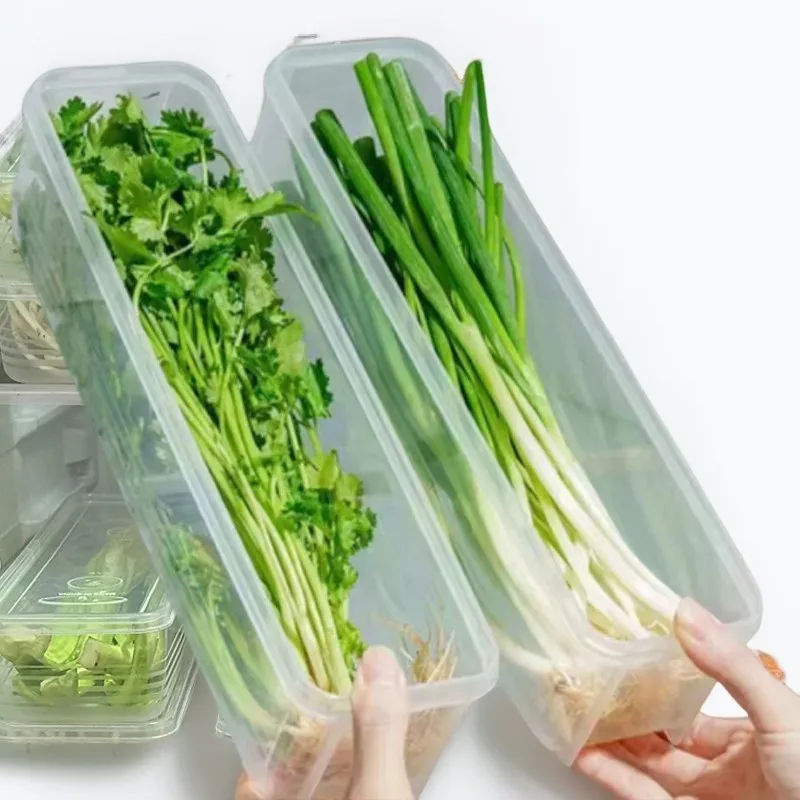 Fresh Box Refrigerator Storage Boxes Scallions Food Container with Lid Cold Crisper Sealed Kitchen Fresh Fruit Fridge Organiser
Fresh Box Refrigerator Storage Boxes Scallions Food Container with Lid Cold Crisper Sealed Kitchen Fresh Fruit Fridge Organiser