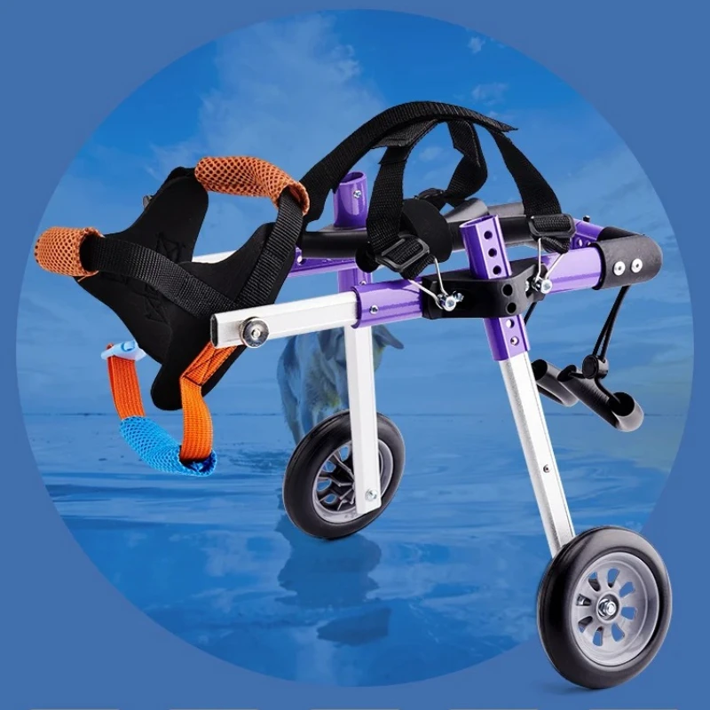 Регулируемая алюминиевая инвалидная коляска для домашних животных на задние ноги, 2-колесная мобильная тележка для собак с опорным ремнем, помощь для реабилитации кошек
Регулируемая алюминиевая инвалидная коляска для домашних животных на задние ноги, 2-колесная мобильная тележка для собак с опорным ремнем, помощь для реабилитации кошек