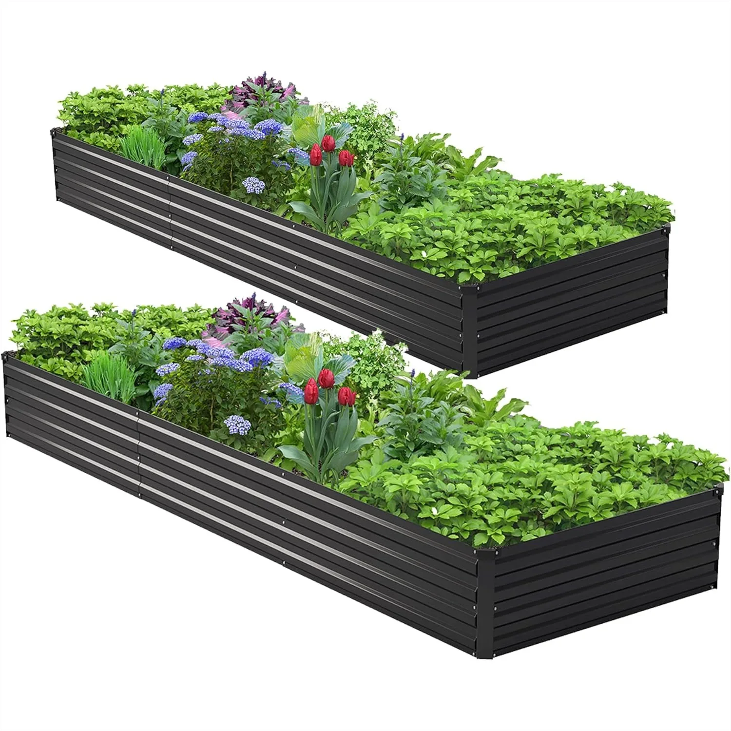 2PCS 9x3x1ft Galvanized Raised Garden Bed Kit, Metal Planter Box for Vegetables Flowers Herbs, Durable Rust-Resistant Outdoor
2PCS 9x3x1ft Galvanized Raised Garden Bed Kit, Metal Planter Box for Vegetables Flowers Herbs, Durable Rust-Resistant Outdoor