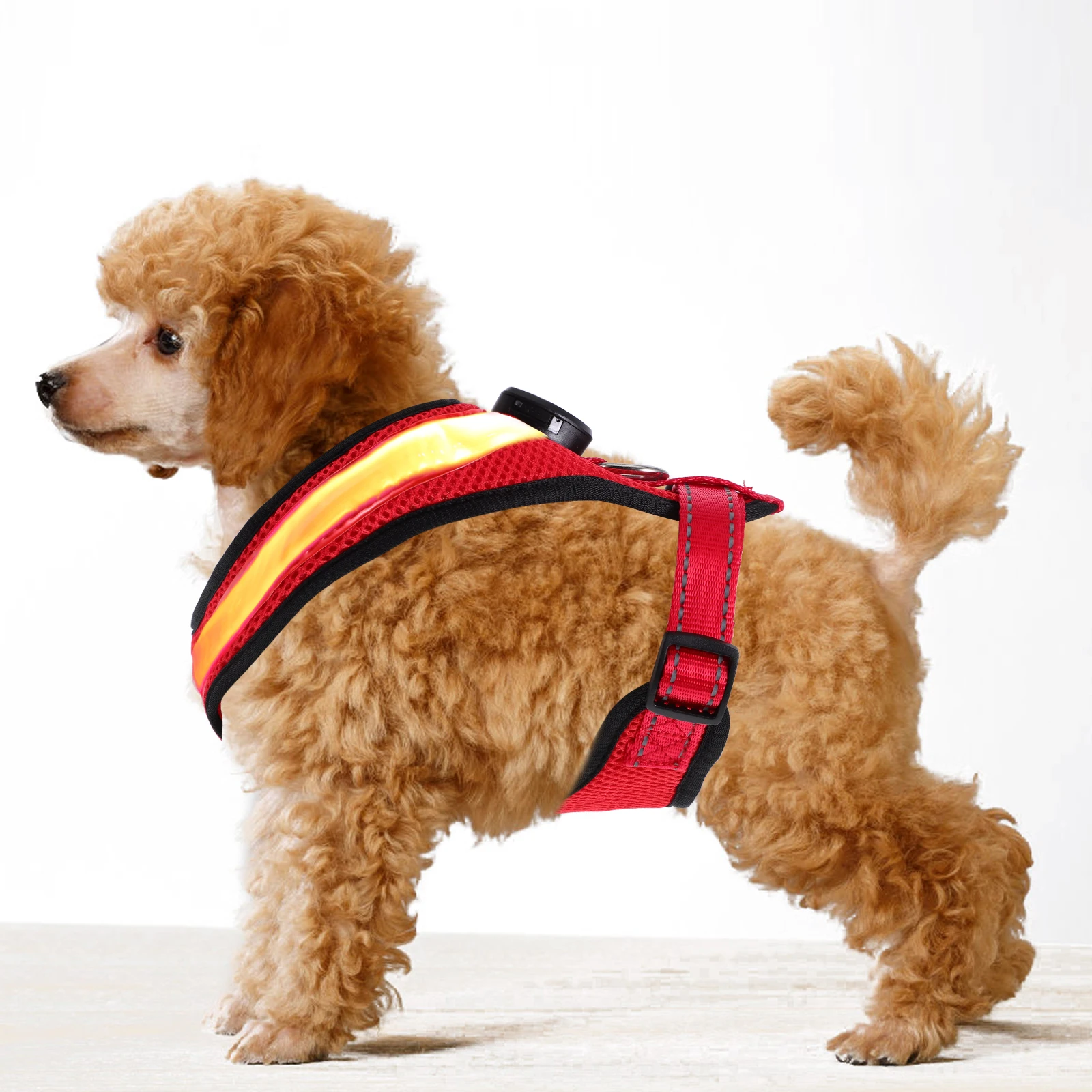 1set LED Dog Vest Nylon Soft USB Charging Dog Vest Night Walking Puppy Vest Easy Wear Dog LED Vest Fashion Design 
1set LED Dog Vest Nylon Soft USB Charging Dog Vest Night Walking Puppy Vest Easy Wear Dog LED Vest Fashion Design