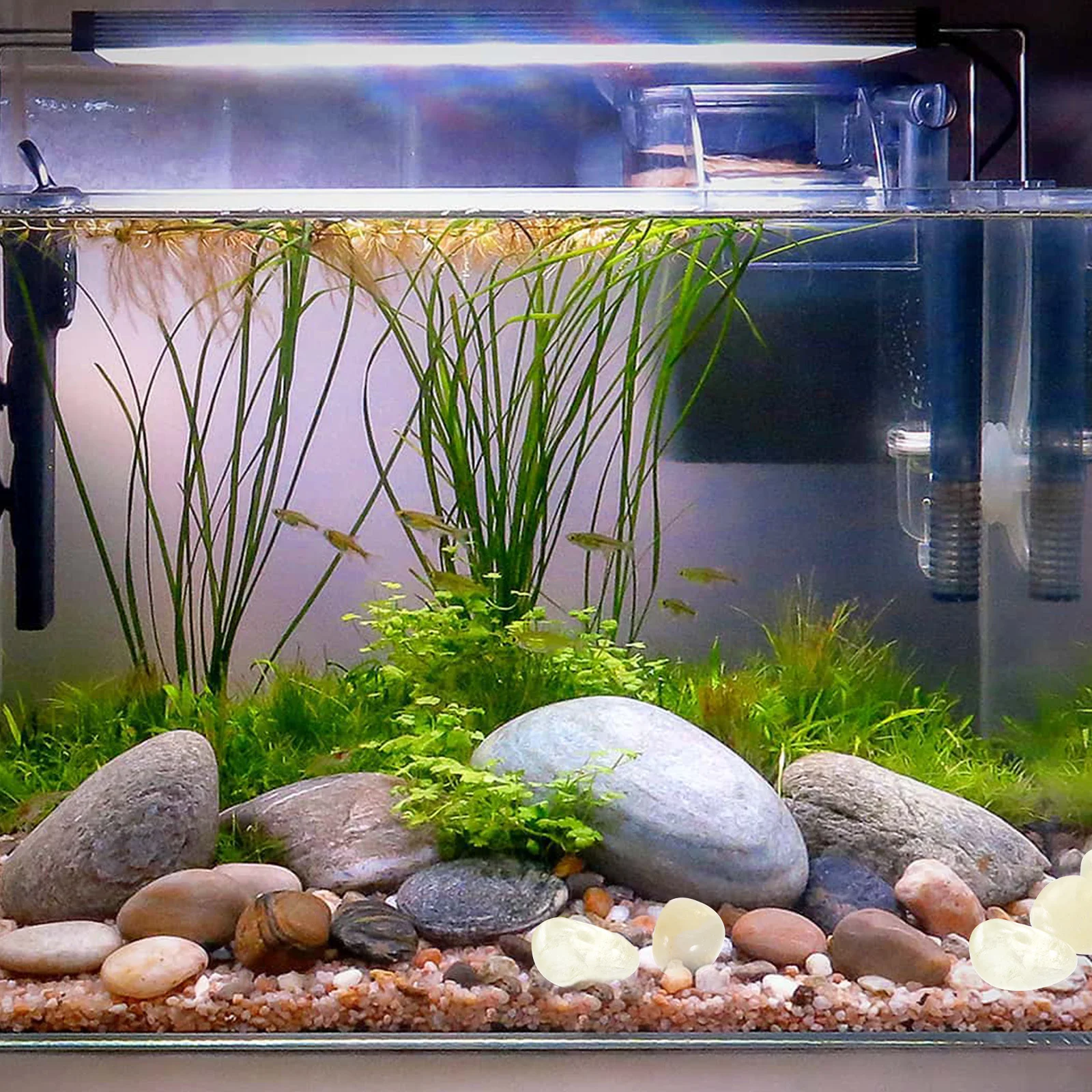 Fish Tank Landscaping Aquarium Rocks Aquascaping Citrine Crystals Highlight Decoration Stone
Fish Tank Landscaping Aquarium Rocks Aquascaping Citrine Crystals Highlight Decoration Stone