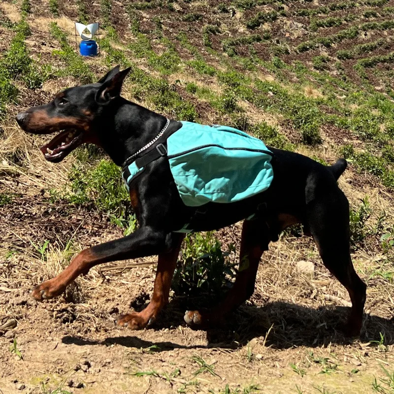 Dog Chest Back Suitable For Large Dog Pet Multi Functional Backpack Dog Accessories Dog Outdoor Travel Bag Mountaineering Bag
Dog Chest Back Suitable For Large Dog Pet Multi Functional Backpack Dog Accessories Dog Outdoor Travel Bag Mountaineering Bag