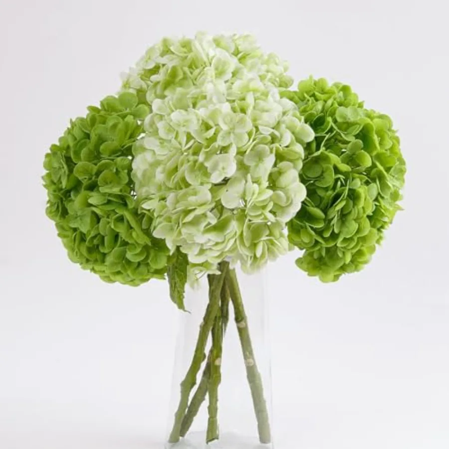 4 Pcs Hydrangea Artificial Flowers Latex Real Touch Hydrangeas Lifelike Fake Hydrangea Flowers for Home Party Arrangements Wedd
4 Pcs Hydrangea Artificial Flowers Latex Real Touch Hydrangeas Lifelike Fake Hydrangea Flowers for Home Party Arrangements Wedd