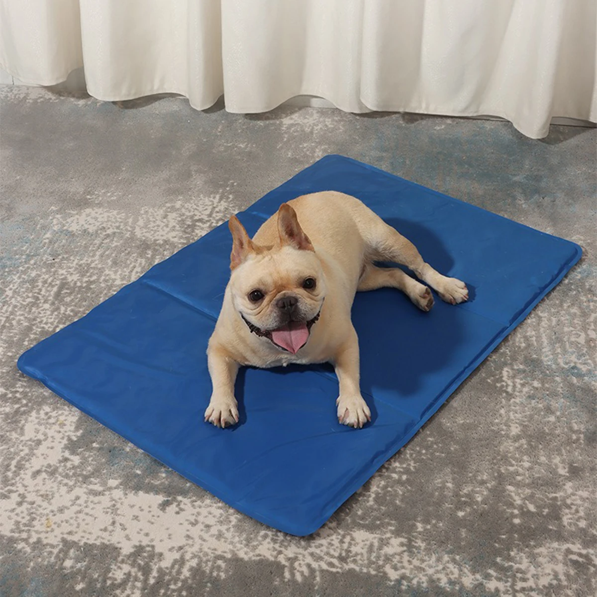 Cooling Pet Pad with PP Cotton Filling, Anti-Scratch PVC Fabric, Prevents Heatstroke in Hot Weather
Cooling Pet Pad with PP Cotton Filling, Anti-Scratch PVC Fabric, Prevents Heatstroke in Hot Weather