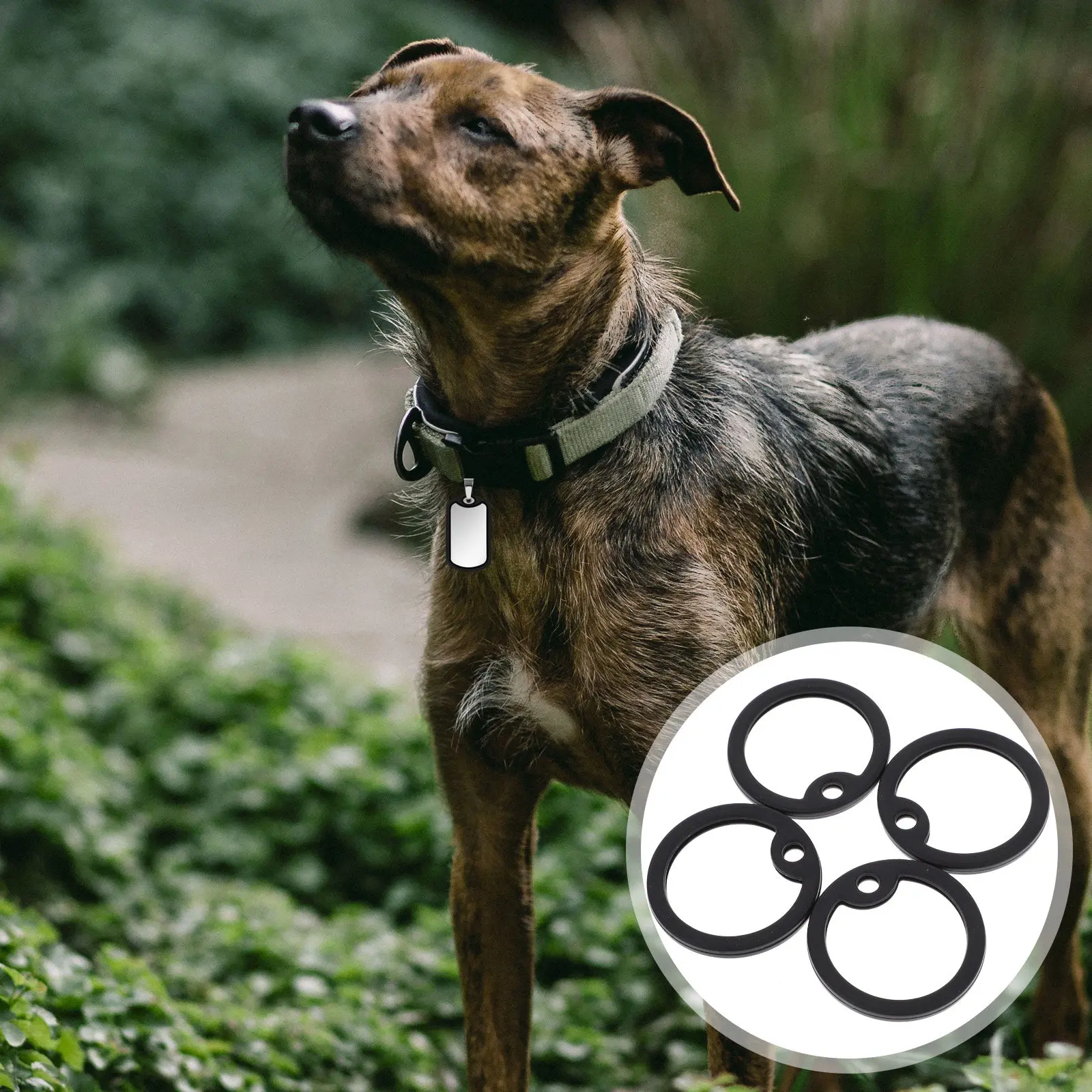 4Pcs Dog Tag Silencers Silicone Round Military Protector Noise Reducing Covers for Pet Dog Id Tags Edges Tag Silencers
4Pcs Dog Tag Silencers Silicone Round Military Protector Noise Reducing Covers for Pet Dog Id Tags Edges Tag Silencers