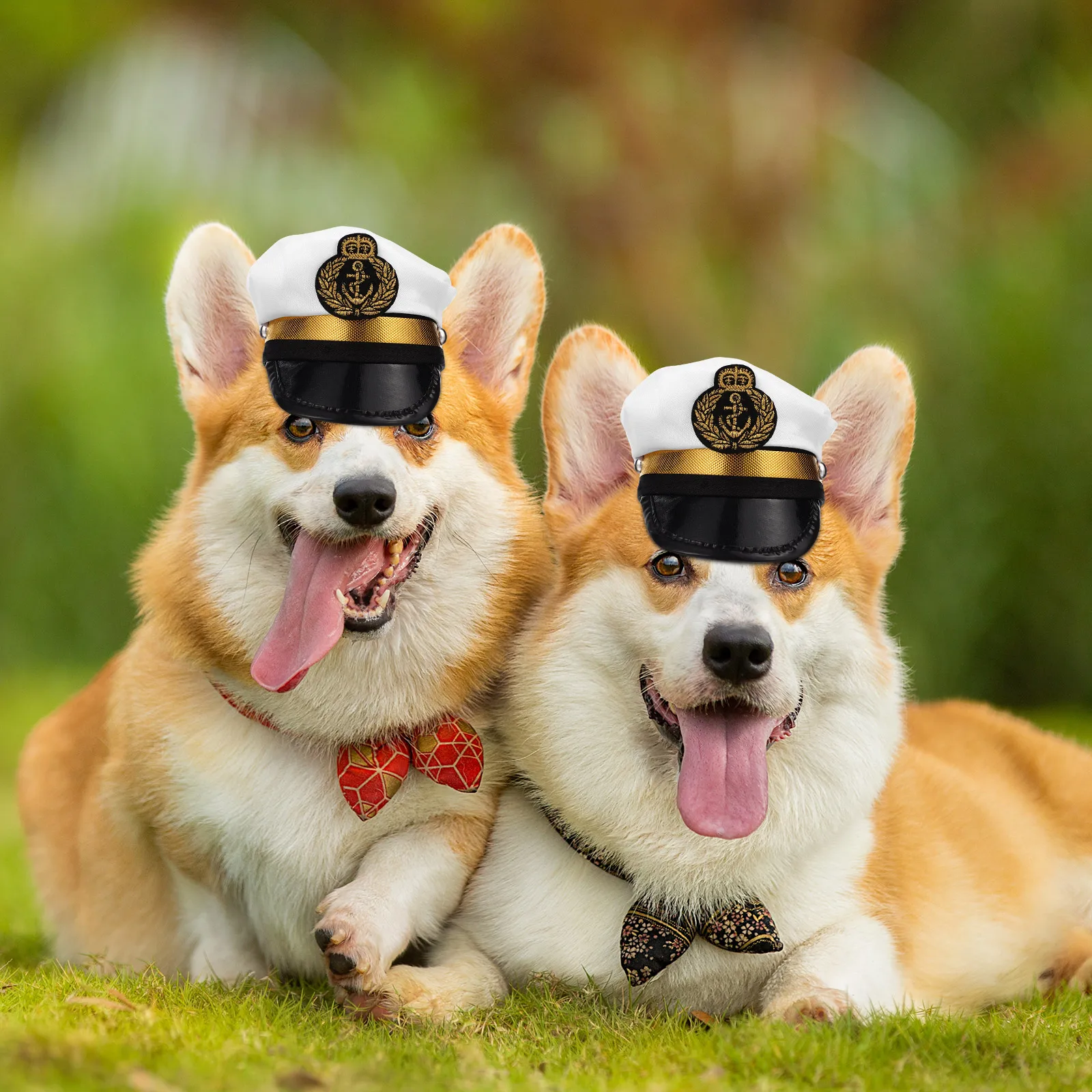 Pet Hood Sailor Suit Dog Cap Hat Outfit Puppy Yacht Costume Small Medium Large Adjustable Chin Band Polyester for Parties
Pet Hood Sailor Suit Dog Cap Hat Outfit Puppy Yacht Costume Small Medium Large Adjustable Chin Band Polyester for Parties