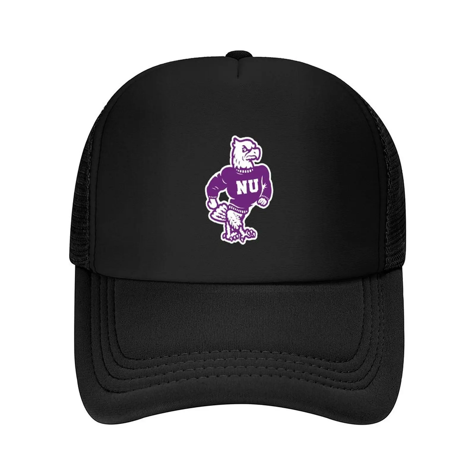 Niagara University Purple Eagles Vintage Fan Mascot Baseball Cap Ball Cap birthday hiking hat fishing hat Caps Male Women's
Niagara University Purple Eagles Vintage Fan Mascot Baseball Cap Ball Cap birthday hiking hat fishing hat Caps Male Women's
