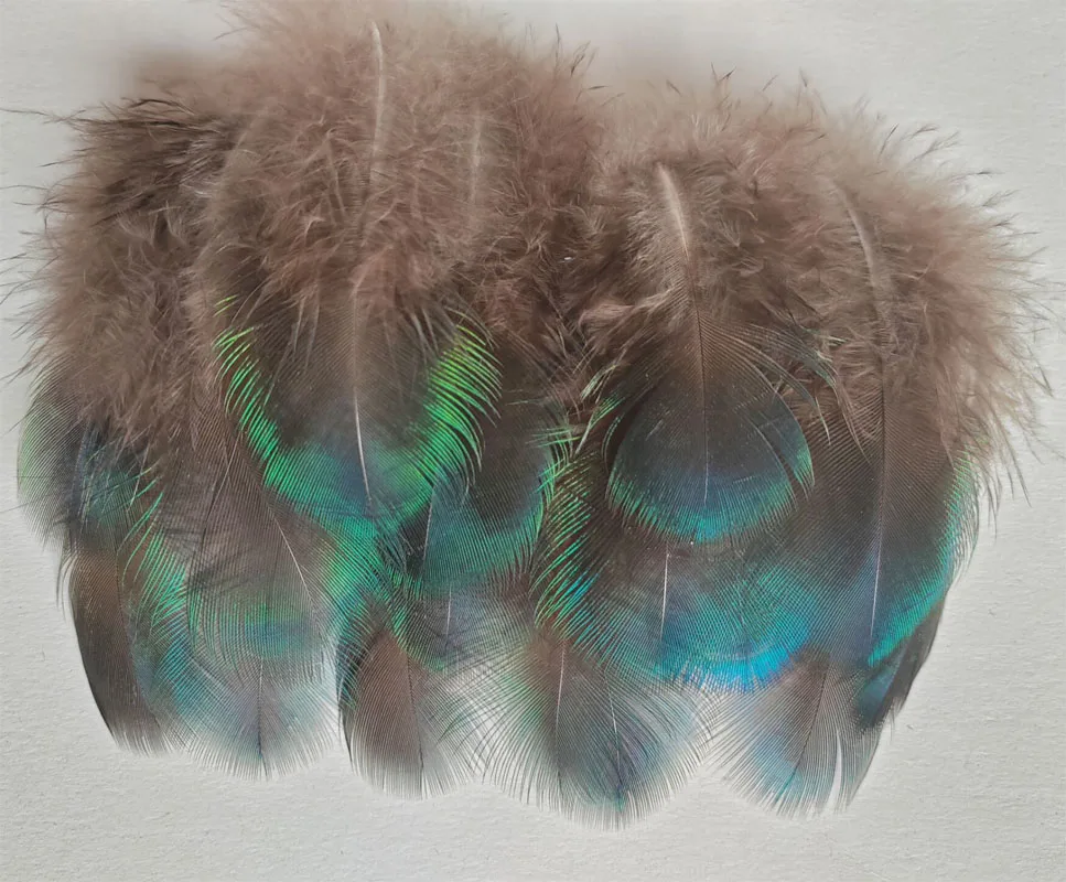 50/100/200Pieces- Iridescent Green Peacock Plumage Loose Feathers Fly Tying Craft,6-10cm long
50/100/200Pieces- Iridescent Green Peacock Plumage Loose Feathers Fly Tying Craft,6-10cm long