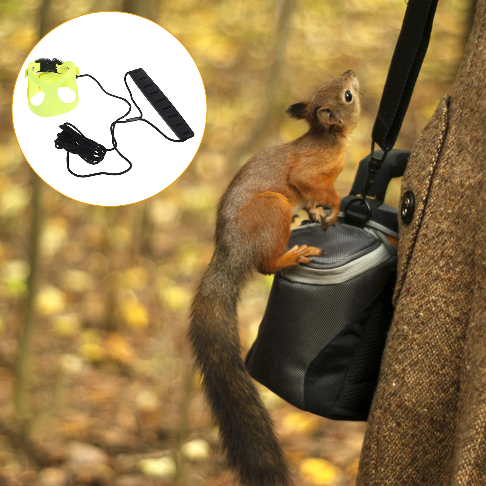 1 set 1 Set Adjustable Hamster Harness Leash Anti-Biting Traction Rope Rabbit Squirrel Pet Outdoor Supplies Lightweight Durable
1 set 1 Set Adjustable Hamster Harness Leash Anti-Biting Traction Rope Rabbit Squirrel Pet Outdoor Supplies Lightweight Durable