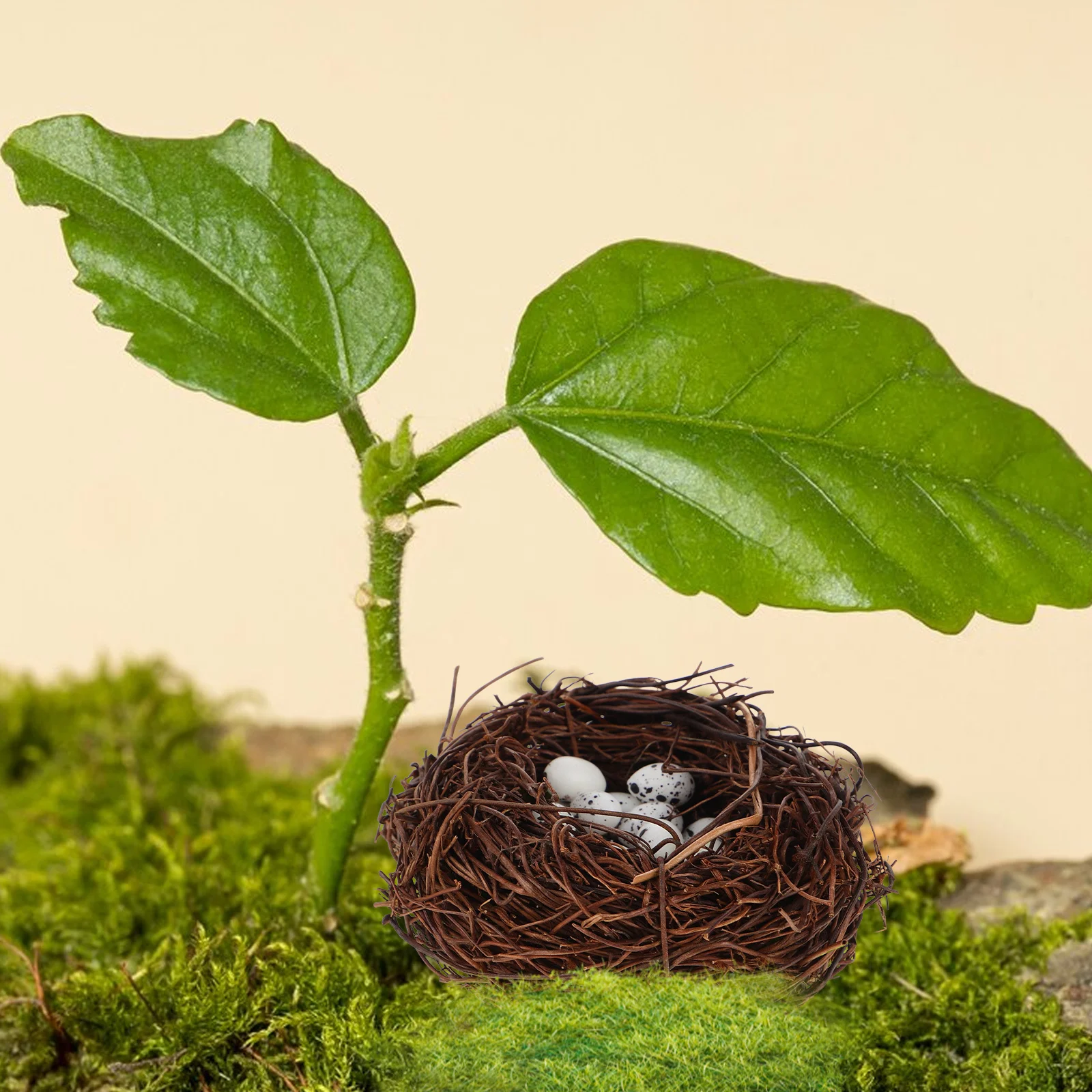 20pcs Mini Bird Nest Eggs Artificial Rattan Decor For Garden Yard Home Christmas Party Decoration Small Speckled Simulation Twig
20pcs Mini Bird Nest Eggs Artificial Rattan Decor For Garden Yard Home Christmas Party Decoration Small Speckled Simulation Twig