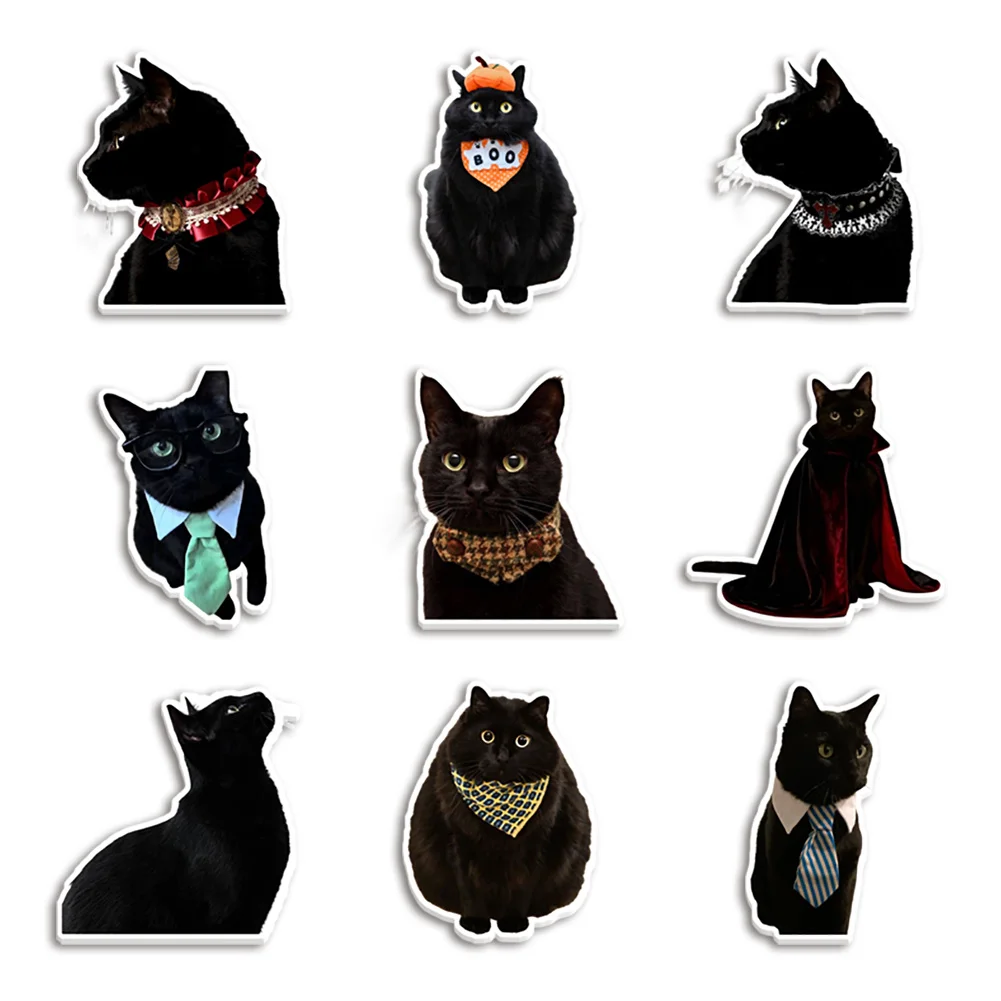 Black Cat Resin Planar Transparent Glitter Acrylic Flatback for Badge Hair Bow Keychain Decoration Acrylic Sheet Personalized
Black Cat Resin Planar Transparent Glitter Acrylic Flatback for Badge Hair Bow Keychain Decoration Acrylic Sheet Personalized