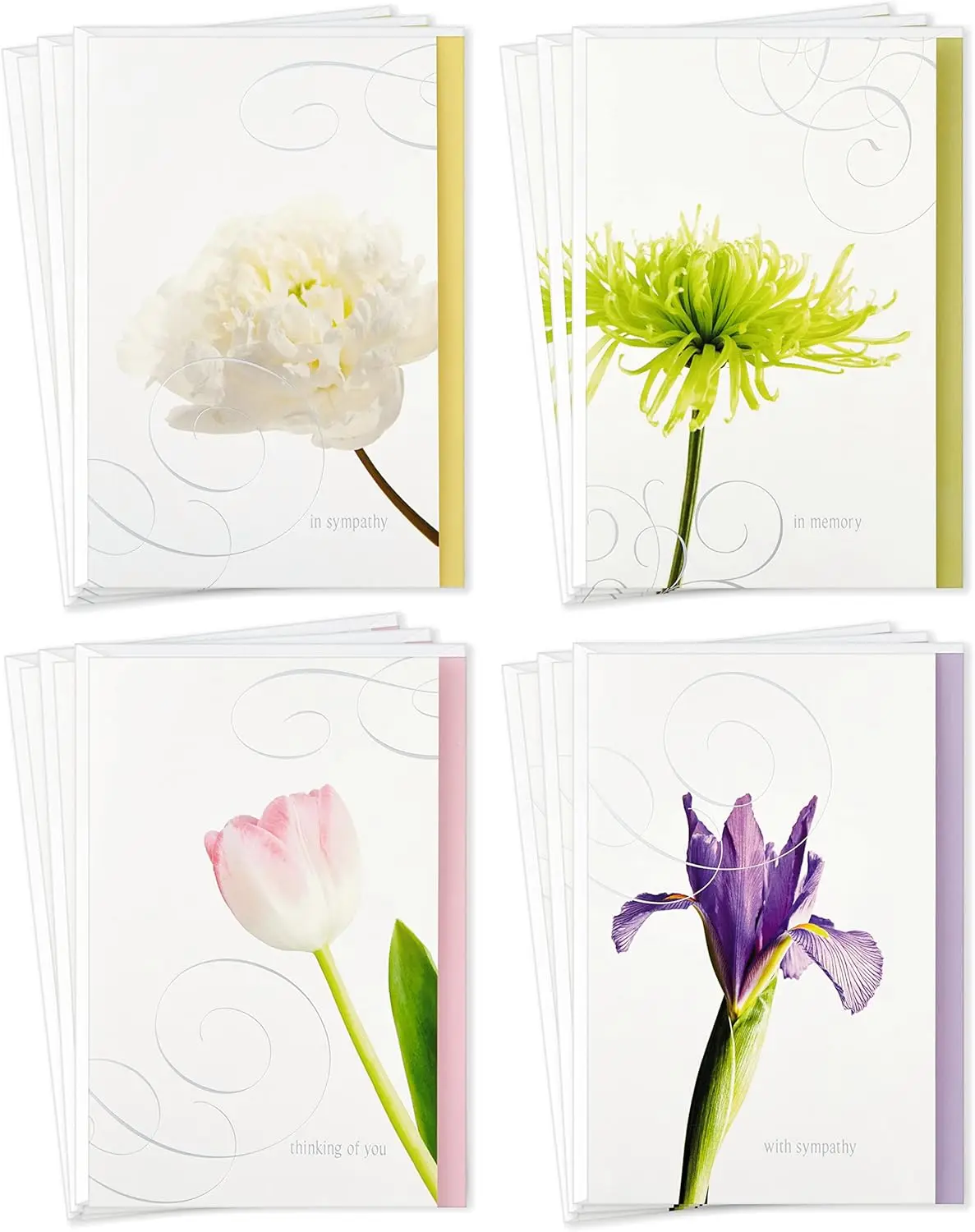 Sympathy Card Set with 12 Cards and Envelopes for Condolence Messages
Sympathy Card Set with 12 Cards and Envelopes for Condolence Messages