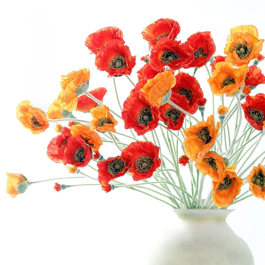 5Pc Faux 5head Flocking Poppies Artificial Flowers for Home Living Room Decoration Fake Poppy Party Wedding Flower Arrangements
5Pc Faux 5head Flocking Poppies Artificial Flowers for Home Living Room Decoration Fake Poppy Party Wedding Flower Arrangements