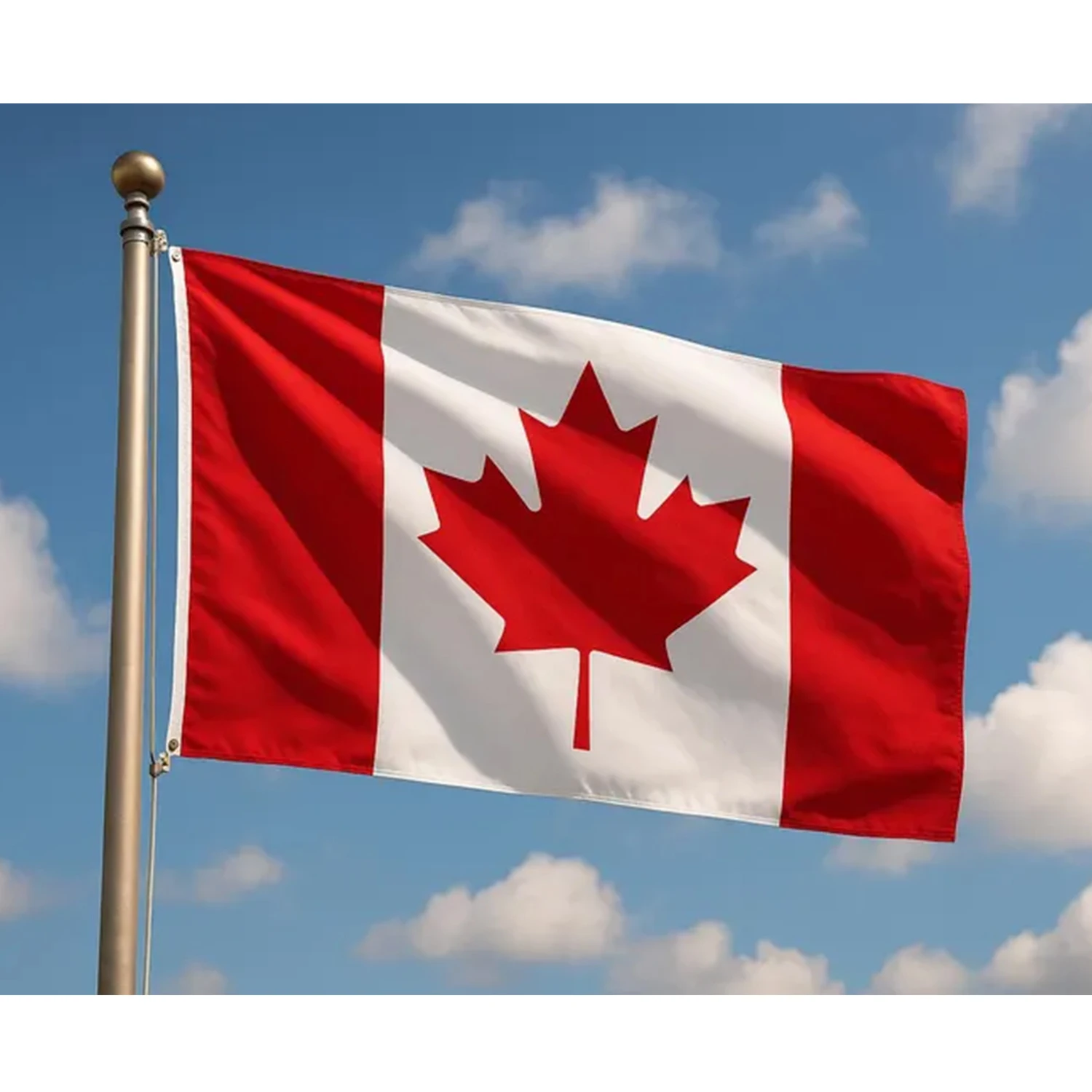 1Pc Canada Polyster Flag,Ideal Home Room Garden Farm Fence Windows Decor,National Day Ceremoney Party Gift,150X90cm
1Pc Canada Polyster Flag,Ideal Home Room Garden Farm Fence Windows Decor,National Day Ceremoney Party Gift,150X90cm