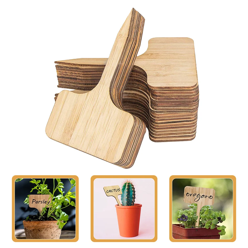 60Pcs Wood Plant Tags Garden Labels for Landscaping Professional Nurseries Fade Resistant Simple Design Perfect for Identifying
60Pcs Wood Plant Tags Garden Labels for Landscaping Professional Nurseries Fade Resistant Simple Design Perfect for Identifying