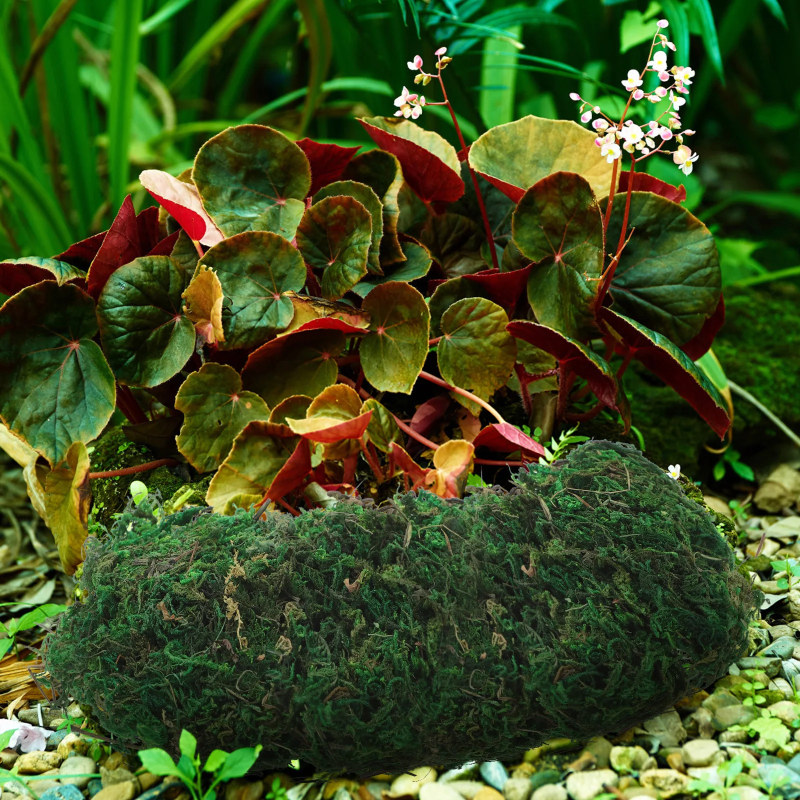 Artificial Moss Lichen Simulation Fake Green Plants 20g Small Pack Exquisite Craft for Mini Landscaping Home Garden Patio 
Artificial Moss Lichen Simulation Fake Green Plants 20g Small Pack Exquisite Craft for Mini Landscaping Home Garden Patio