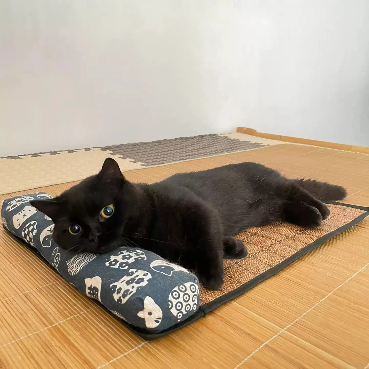 Cat Natural Cooling Mat Summer Pet Self Cooling Pad Cat Bed Mat For Dogs Indoor Rattan Weave Mat Sleeping Cat Bed
Cat Natural Cooling Mat Summer Pet Self Cooling Pad Cat Bed Mat For Dogs Indoor Rattan Weave Mat Sleeping Cat Bed
